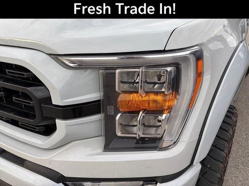 Avalanche 2023 Ford F-150 XLT