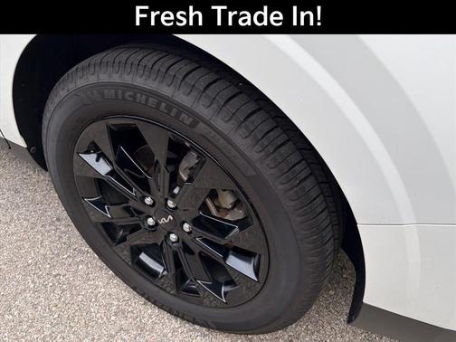 Snow White Pearl 2024 Kia Carnival SX