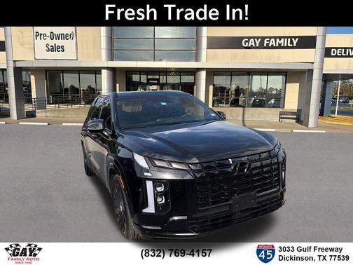 Black 2025 Hyundai PALISADE Calligraphy Night Edition