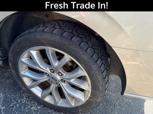 White Gold Metallic 2018 Ford Expedition Platinum