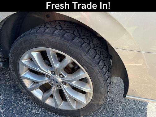 White Gold Metallic 2018 Ford Expedition Platinum