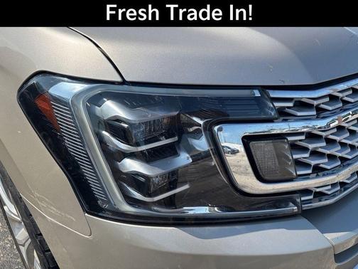 White Gold Metallic 2018 Ford Expedition Platinum
