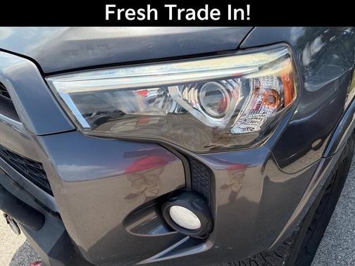 Magnetic Gray Metallic 2019 Toyota 4Runner Sport