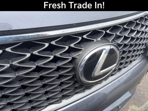 Gray Pearl 2013 Lexus RX 350 F Sport