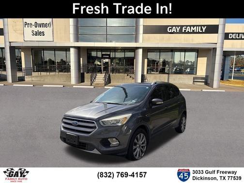 Magnetic 2017 Ford Escape Titanium