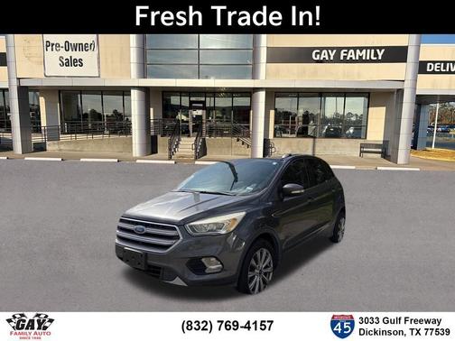 Magnetic 2017 Ford Escape Titanium