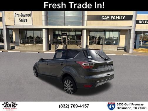Magnetic 2017 Ford Escape Titanium