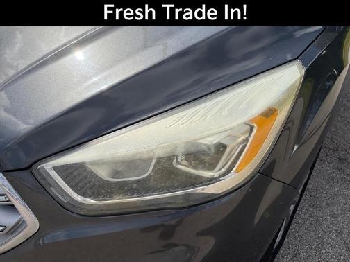 Magnetic 2017 Ford Escape Titanium