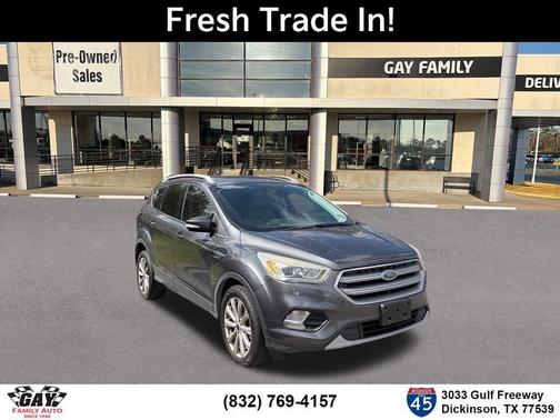 Magnetic 2017 Ford Escape Titanium