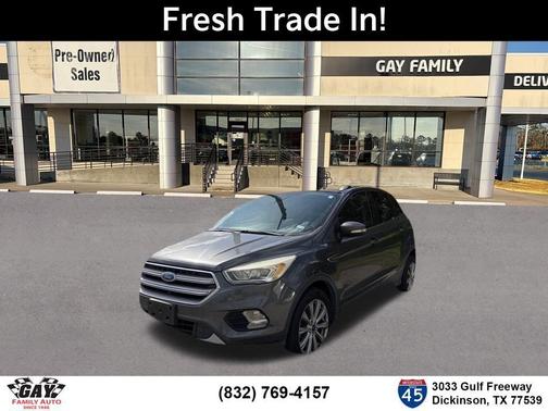 Magnetic 2017 Ford Escape Titanium