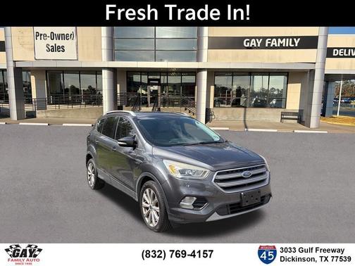 Magnetic 2017 Ford Escape Titanium