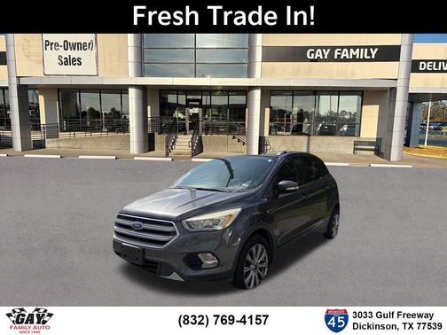 Magnetic 2017 Ford Escape Titanium