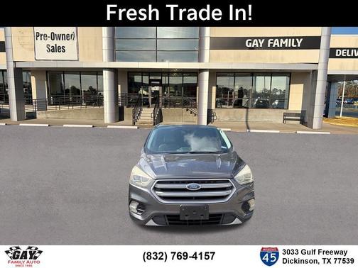 Magnetic 2017 Ford Escape Titanium