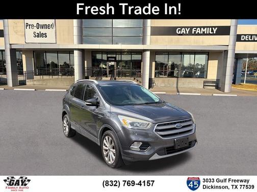 Magnetic 2017 Ford Escape Titanium