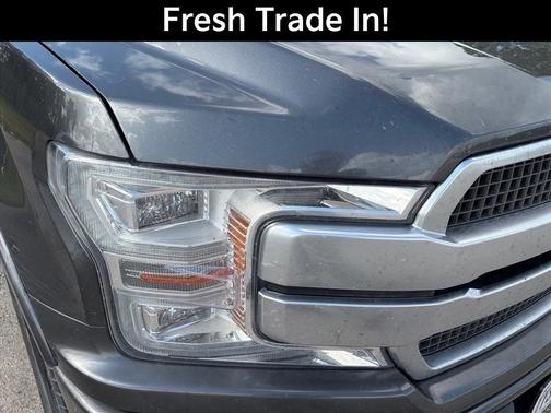 Magnetic 2019 Ford F-150 Platinum