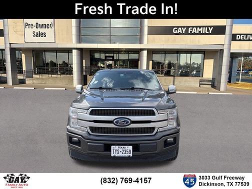 Magnetic 2019 Ford F-150 Platinum