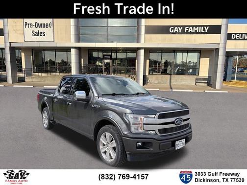 Magnetic 2019 Ford F-150 Platinum