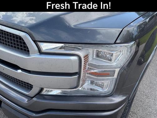 Magnetic 2019 Ford F-150 Platinum