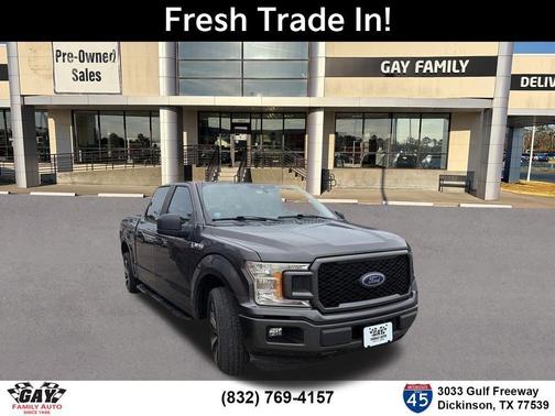 Magnetic 2019 Ford F-150 XL