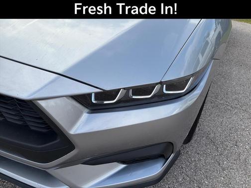 Silver Metallic 2024 Ford Mustang EcoBoost