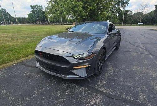 Gray 2019 Ford Mustang EcoBoost