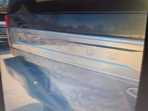 2020 Ford F-250 Platinum