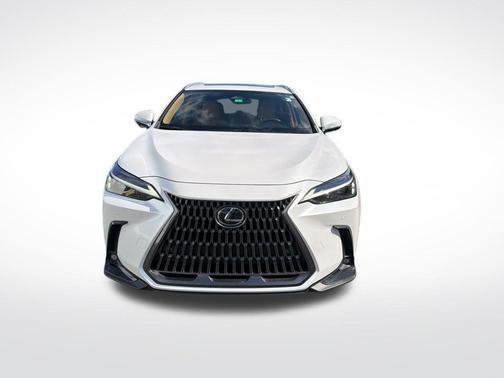 2024 Lexus NX 250 Premium