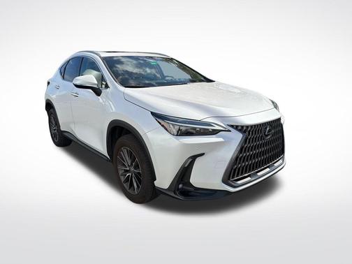 2024 Lexus NX 250 Premium