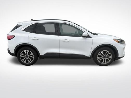Oxford White 2020 Ford Escape SEL