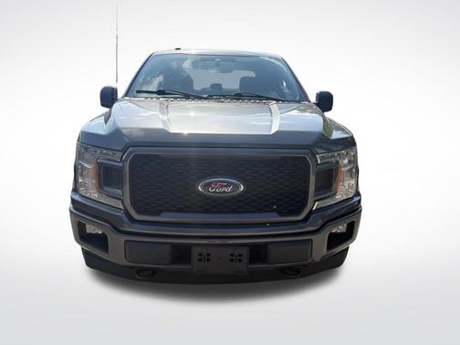 Magnetic 2019 Ford F-150 XL