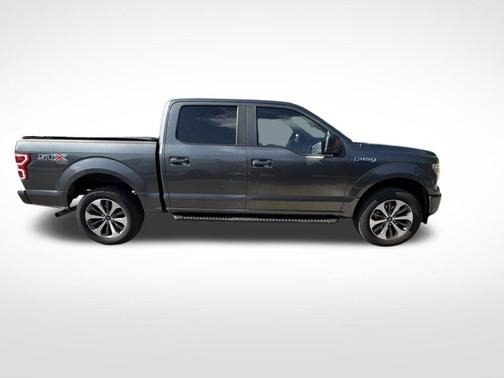 Magnetic 2019 Ford F-150 XL