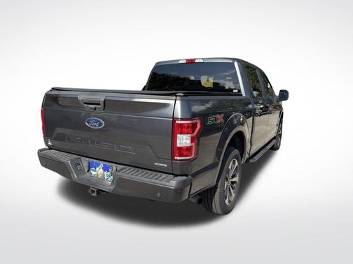 Magnetic 2019 Ford F-150 XL