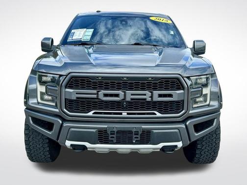 Magnetic 2018 Ford F-150 Raptor