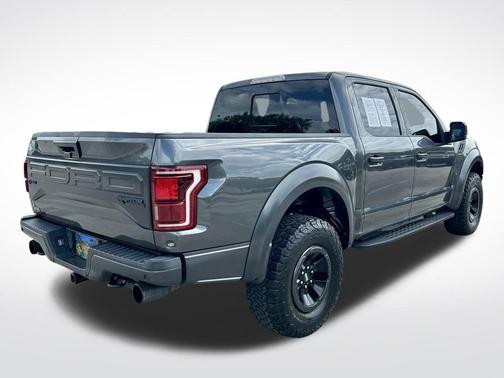 Magnetic 2018 Ford F-150 Raptor