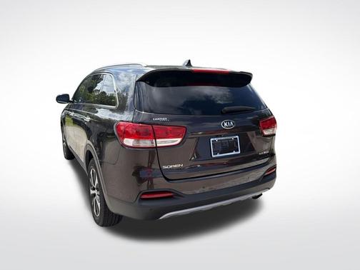 Polished Walnut 2017 Kia Sorento EX