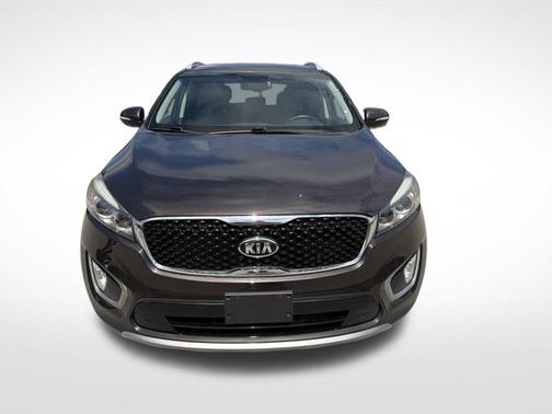 Polished Walnut 2017 Kia Sorento EX