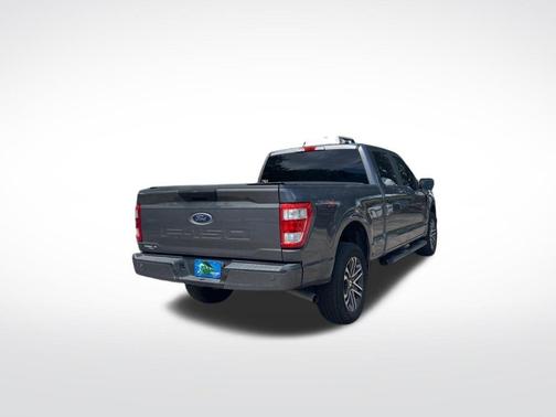 Gray Metallic 2021 Ford F-150 XL