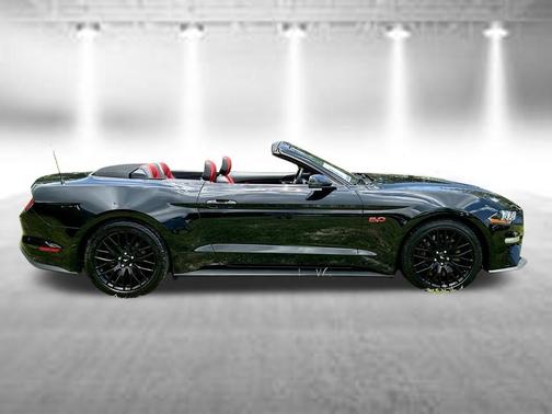 Shadow Black 2019 Ford Mustang GT Premium