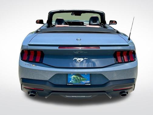 Vapor Blue 2024 Ford Mustang EcoBoost Premium