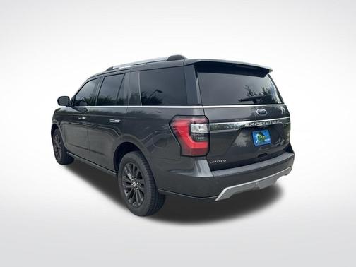 Magnetic 2019 Ford Expedition Limited