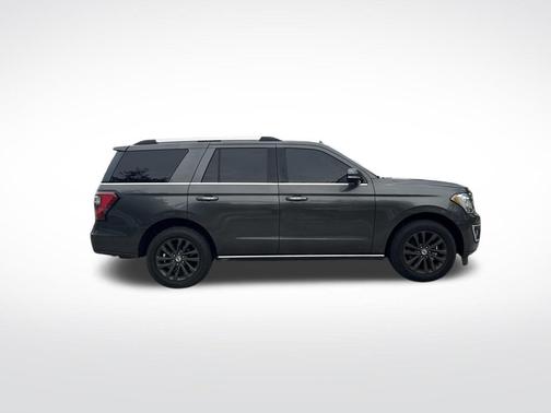 Magnetic 2019 Ford Expedition Limited