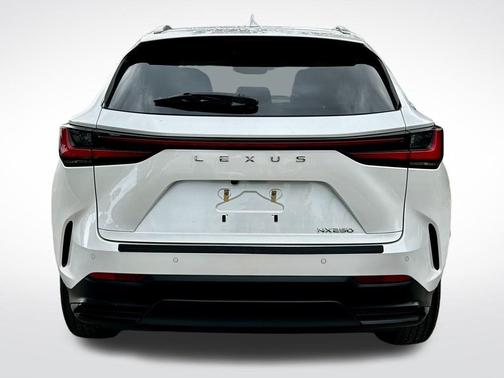 2022 Lexus NX 250 Premium