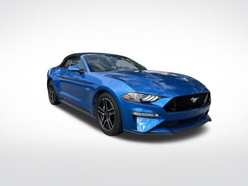 Blue Metallic 2019 Ford Mustang GT Premium