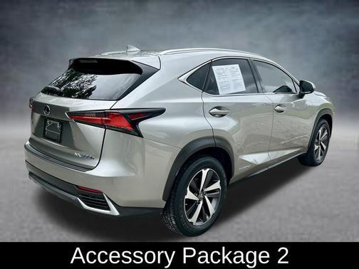 Silver Lining Metallic 2019 Lexus NX 300h Base