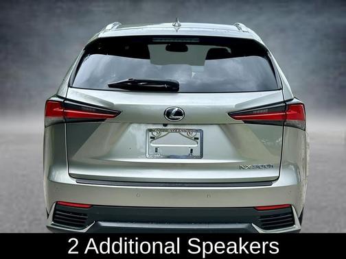 Silver Lining Metallic 2019 Lexus NX 300h Base