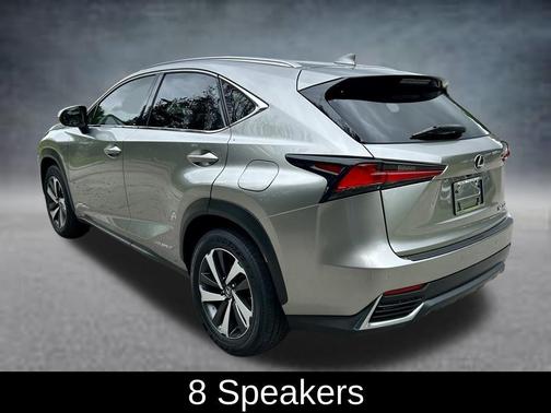 Silver Lining Metallic 2019 Lexus NX 300h Base