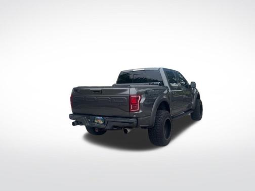 Magnetic 2017 Ford F-150 Raptor