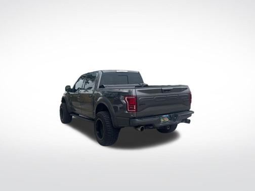 Magnetic 2017 Ford F-150 Raptor