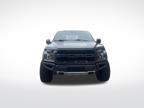 Magnetic 2017 Ford F-150 Raptor