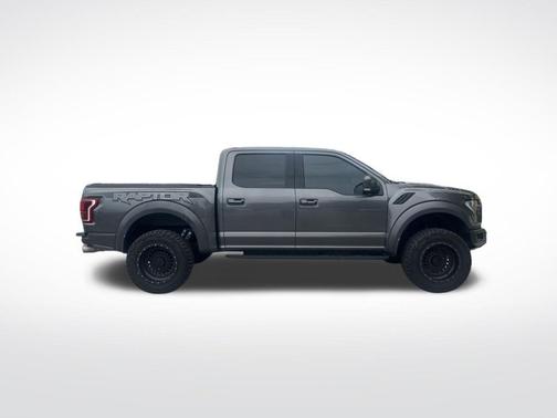 Magnetic 2017 Ford F-150 Raptor